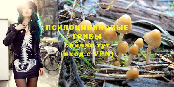 прущие крисы Вязники