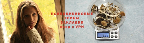 ГАЛЛЮЦИНОГЕННЫЕ ГРИБЫ Вяземский
