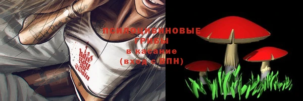 прущие крисы Вязники