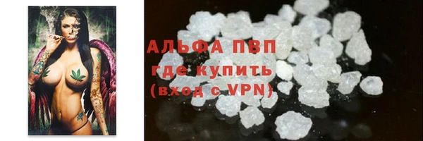 ГАЛЛЮЦИНОГЕННЫЕ ГРИБЫ Вяземский