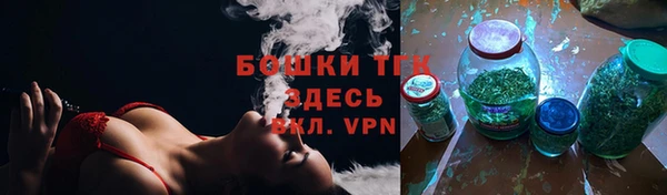 ГАЛЛЮЦИНОГЕННЫЕ ГРИБЫ Вяземский