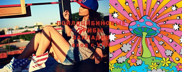ГАЛЛЮЦИНОГЕННЫЕ ГРИБЫ Вяземский