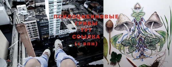 ГАЛЛЮЦИНОГЕННЫЕ ГРИБЫ Вяземский