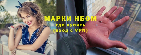ГАЛЛЮЦИНОГЕННЫЕ ГРИБЫ Вяземский